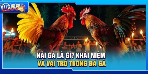 Nài Gà Là Gì? Khái Niệm Và Vai Trò Trong Đá Gà