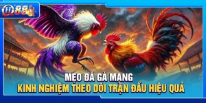 Mẹo Đá Gà Mạng – Kinh Nghiệm Theo Dõi Trận Đấu Hiệu Quả
