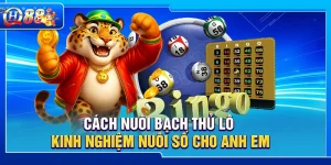 Cách Nuôi Bạch Thủ Lô – Kinh Nghiệm Nuôi Số Cho Anh Em