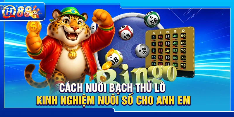 Cách Nuôi Bạch Thủ Lô – Kinh Nghiệm Nuôi Số Cho Anh Em