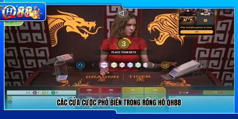 Những cửa cược thường gặp trong Rồng Hổ QH88